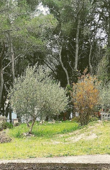 Apartment Maya Stari Grad  Exterior foto